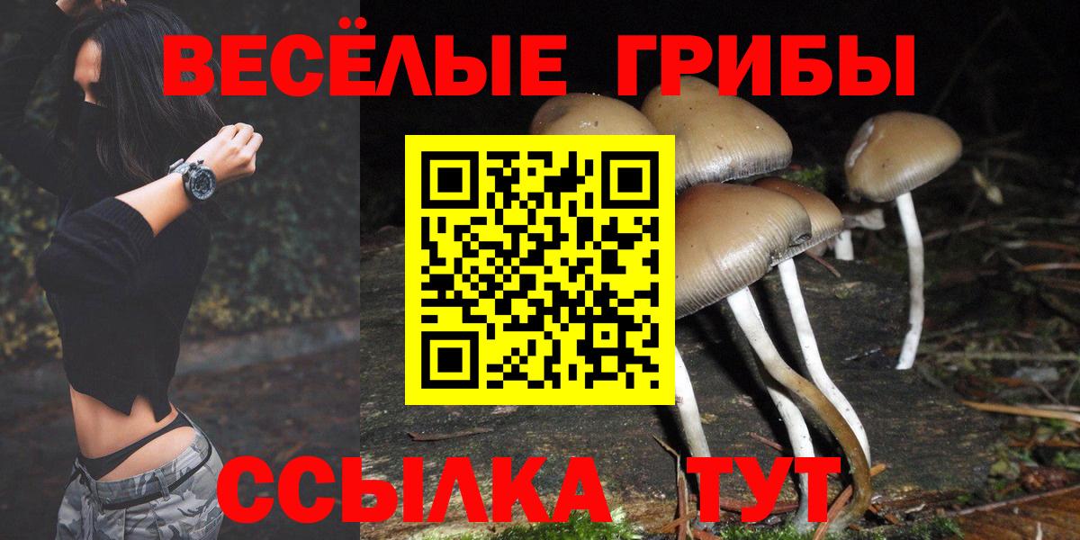 Маркс  Галлюциногенные грибы мухоморы  купить наркоту  Вход с VPN 