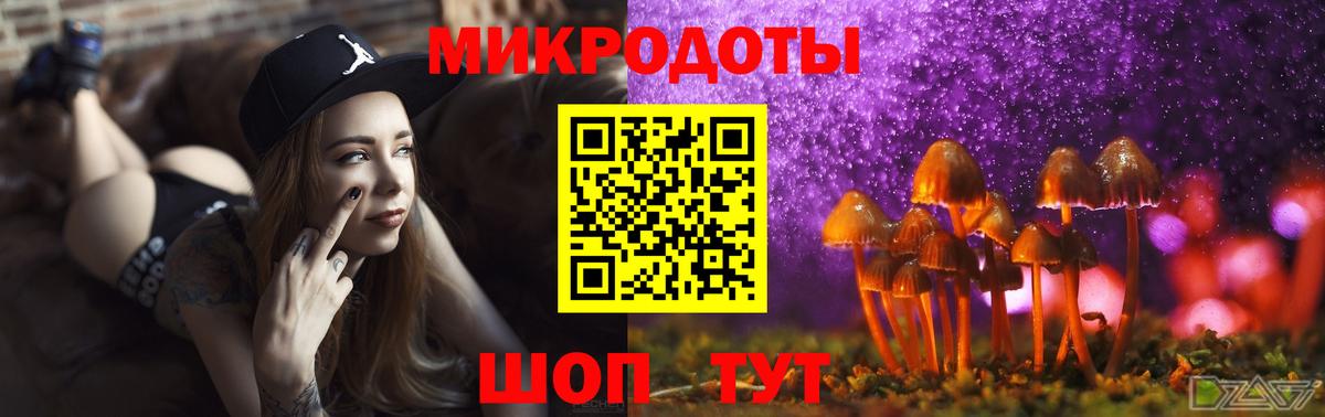 Псилоцибиновые грибы мицелий Маркс